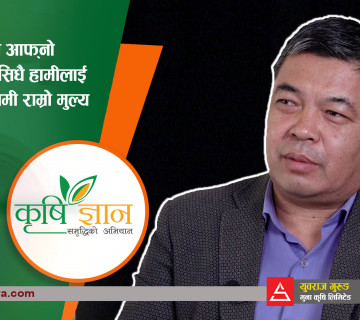 किसानले आफ्नो उत्पादन सिधै हामीलाई दिनुस्, हामी राम्रो मुल्य दिन्छौ || Yuvraj Gurung || Krishi Gyan